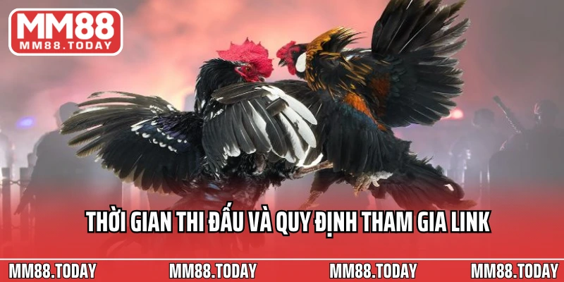 Thời gian thi đấu và quy định tham gia link trực tiếp đá gà Thomo